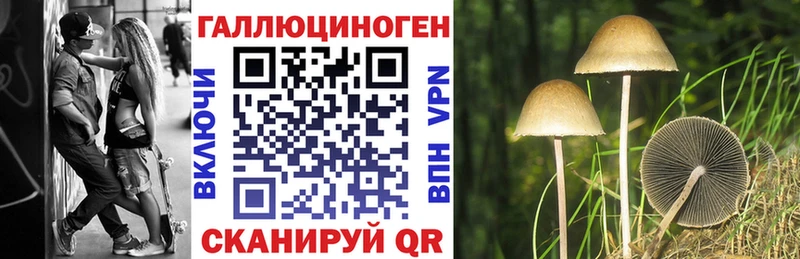 как найти наркотики  Долгопрудный  Псилоцибиновые грибы мухоморы 